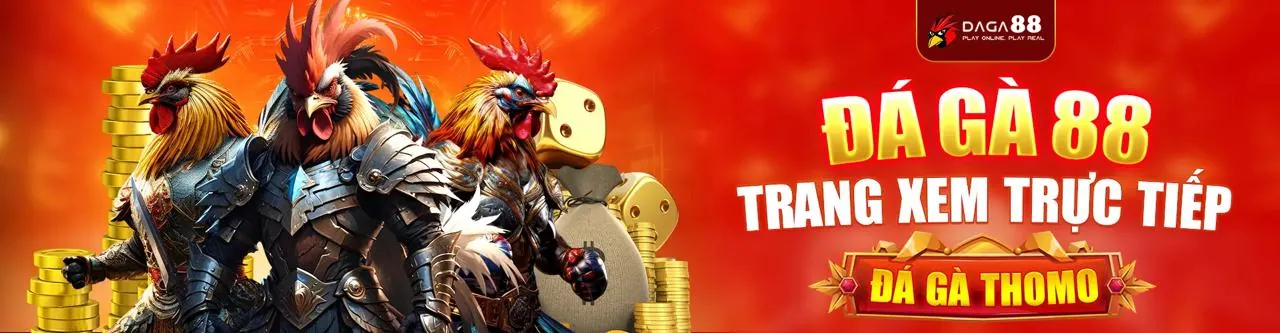 Đá gà trực tuyến trên nền tảng gà 888vn vip